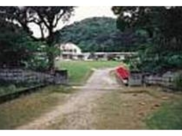 �����w�Z�́A�ΖL���ł̂�т胀�[�h_�D��