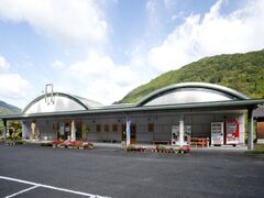 �������덩�����Ίق̎ʐ^1