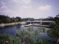 �O�i���̎ʐ^1