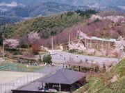 �؎����N�̐X�̎ʐ^4