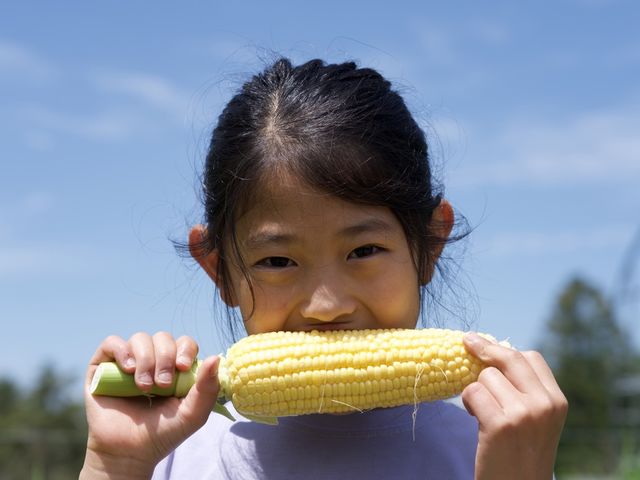 �������Ă̖�؂����̂܂܂��p�N�b�I���g�E�����R�V�͊Â��I�i�L�@���̌����[�N�V���b�v�j_�����x�����_�Ǝ��H��w�Z