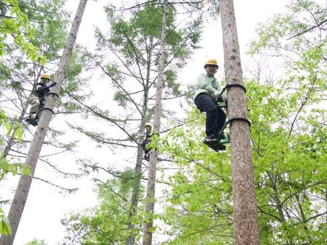 �{�i�I�ȗыƗp����g�����X�������_�̖؂̂ڂ�̌����I�i�ыƑ̌����[�N�V���b�v�j_�����x�����_�Ǝ��H��w�Z