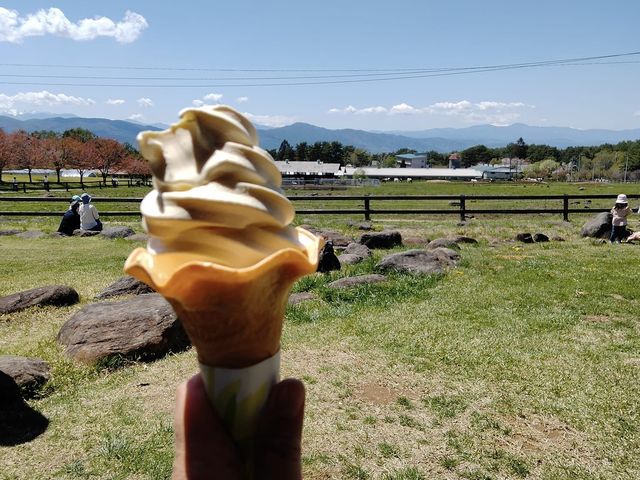 ���q�n�����Ȃ���H�ׂ�\�t�g�N���[���͊i�ʁI_�����x�����_�Ǝ��H��w�Z