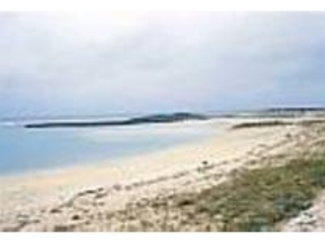 ď̓r[`[p[eB[Ȃǐlœ키_l