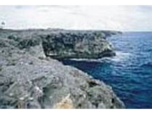 �����グ�镗�Ɣg�̉��Ɉ��|����Ă��܂�_���ߍ�