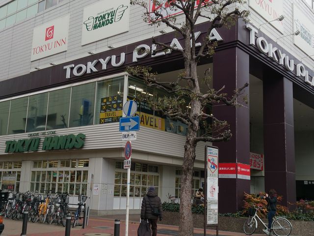 �K���X����̊O�ςƗ΂̊Ŕ��ڈ�_���}�n���Y�]��X