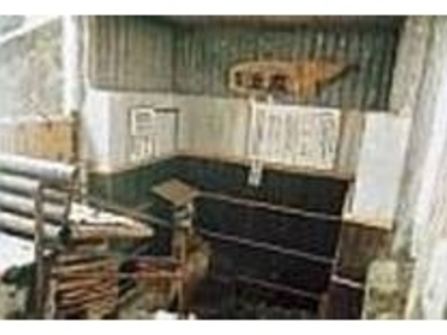 ����͏���������ς��B�ǖ�͌��ɋꂵ_��������Ώ�E����