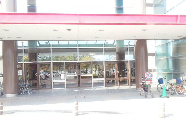 ��������`��򍲖�