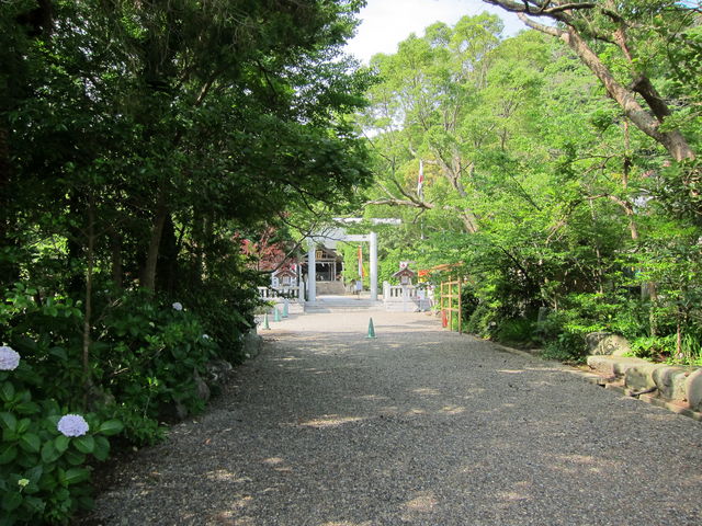 �V�Ð_���{