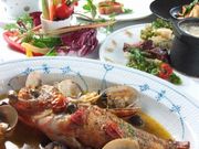 ANApbc@ ACQUAPAZZA R̎ʐ^1