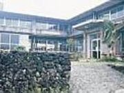 �^�ߍ����`���D�������g���̎ʐ^1