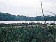 �v���ǃ~�b�g�D�̎ʐ^2