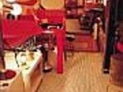 visions�@cosmiques�̎ʐ^2