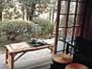 ���ȁ@�����̎ʐ^2