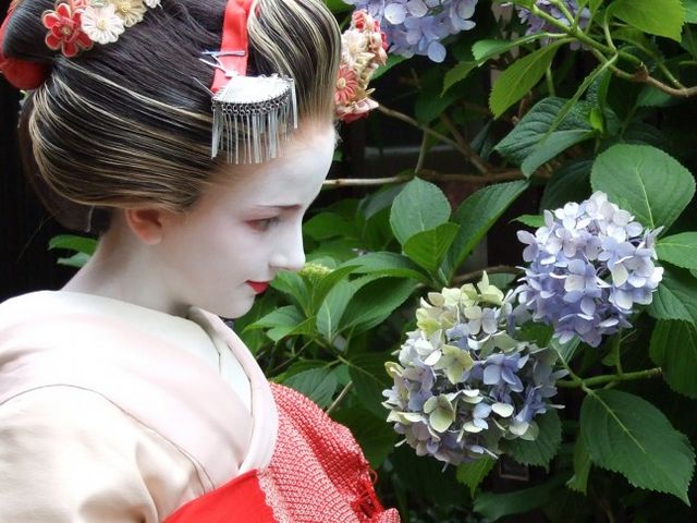 ���W�̌����w�����x