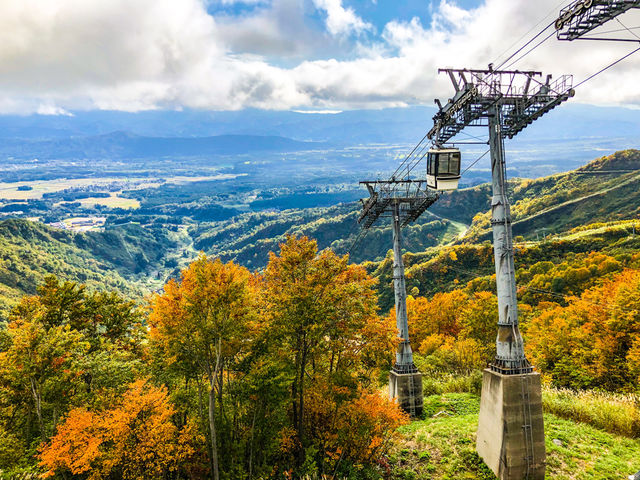 �H�ɂ͑f���炵���g�t���������������܂��B_���b�e�A���C���]�[�g