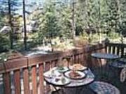 Cafe@Cottonweed̎ʐ^1