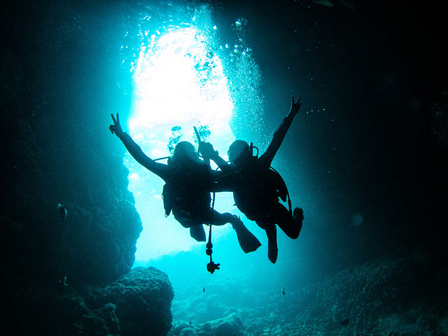 ����_�C�r���O�Ɛ̓��A��SeaMole