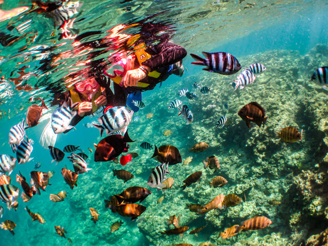 ����_�C�r���O�Ɛ̓��A��SeaMole