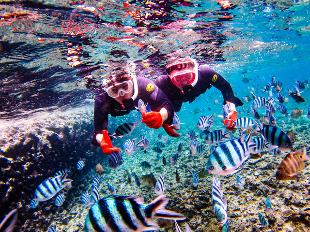 �����ւ̉a�t���͑�D�]�ł������܂��B_����_�C�r���O�Ɛ̓��A��SeaMole