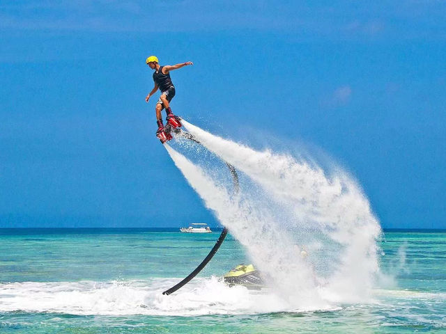 �l�C�̃t���C�{�[�h_����_�C�r���O�Ɛ̓��A��SeaMole