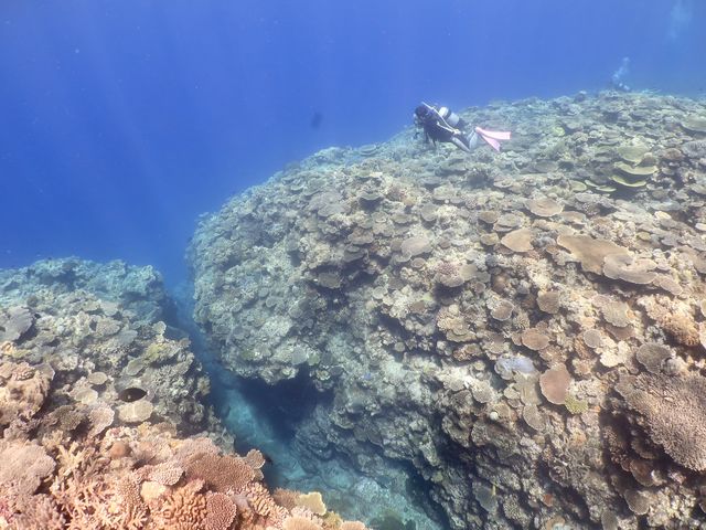 ��Ɗ�̐؂�ڂ��_��I�I�����~�蒍�����̐��꓇�͐�i�ł�⭐︎⭐︎⭐︎_�_�C�r���O�T�[�r�X�W���~���O