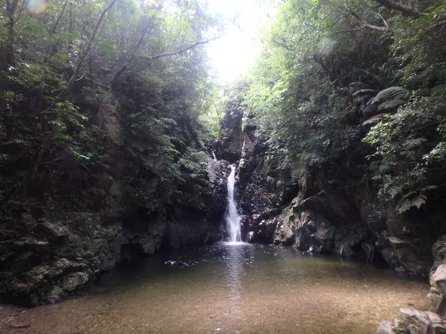 ���΂�V�я��@����