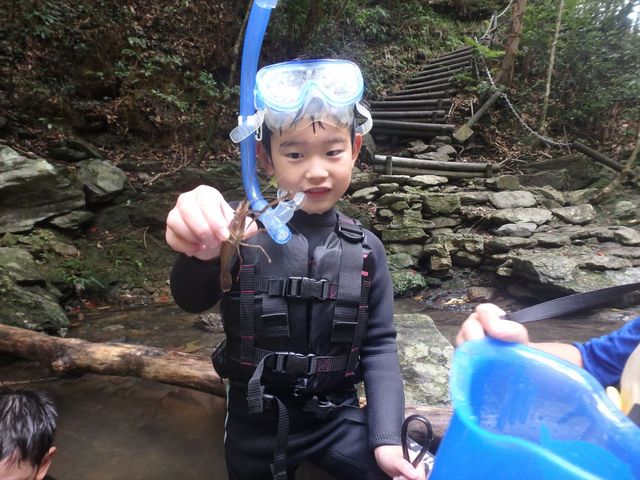 ���΂�V�я��@����