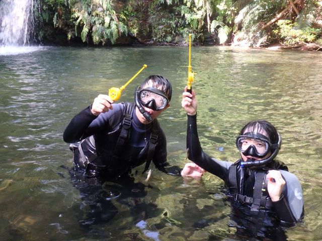 ���΂�V�я��@����