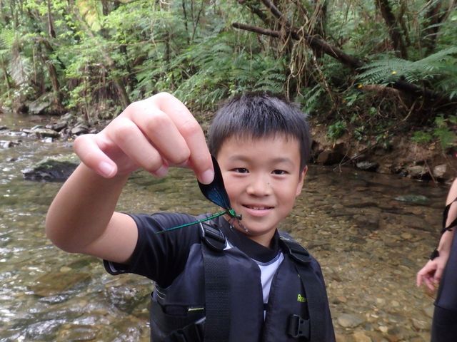 ���΂�V�я��@����