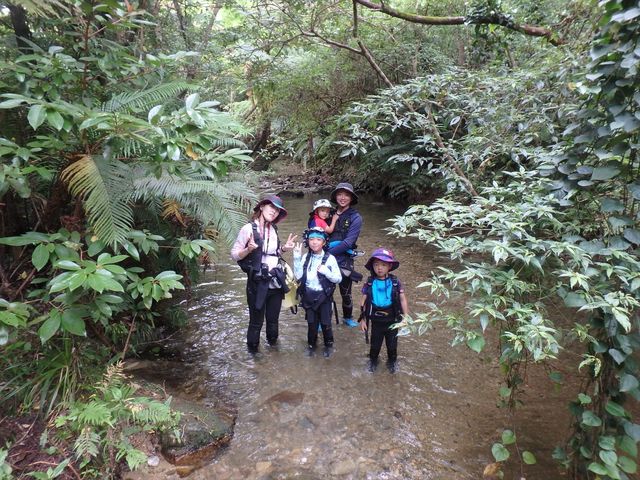 ���΂�V�я��@����