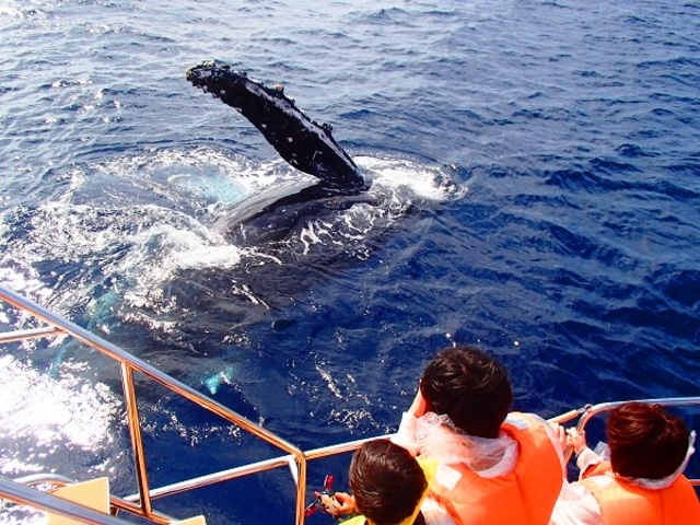 NW̕Dɋ߂Âė鎖܂_AChN[