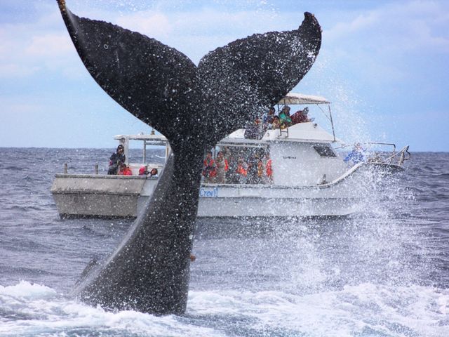 e[XbvAxт@l͑唗_AChN[