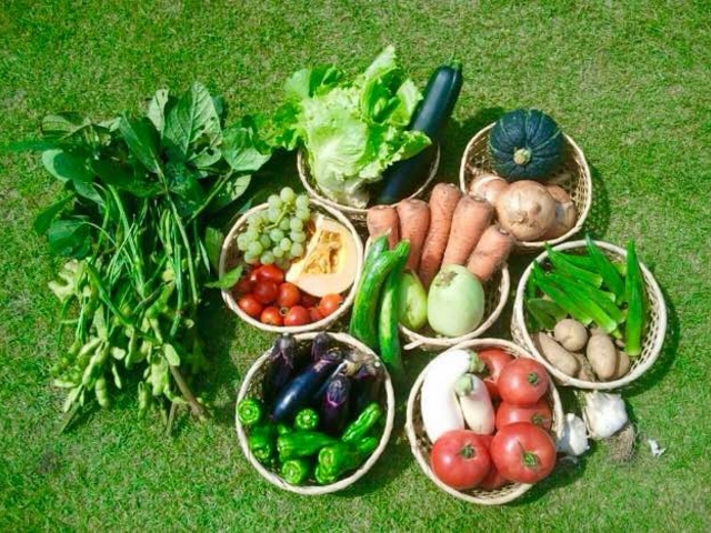 �n�Y�̍̂ꂽ�ĐV�N��؂����y���ݒ����܂��B_�r�[�`�X�e�[�V������cafe�@gin-ger