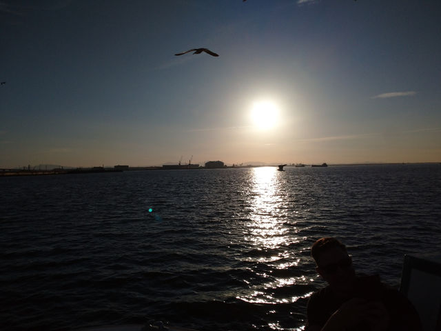 ���ޗ[���B�T���Z�b�g�N���[�Y�B�܂�Ńn���C�̂悤�ł��I_���ːV��c�� ���`�D�݂炢��