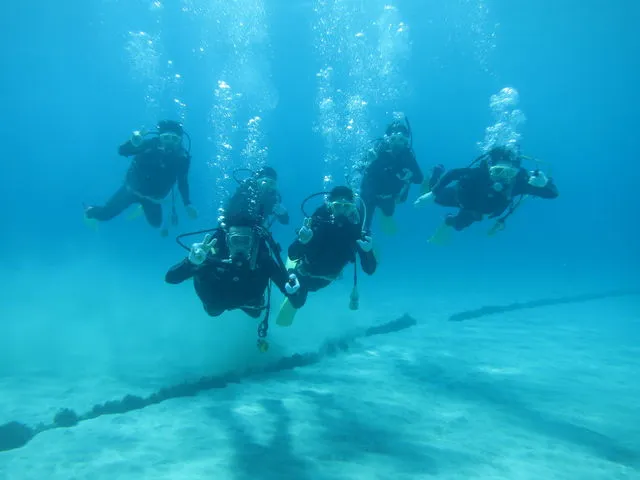 ドラゴンレディ ホテル伊豆急の割引プラン