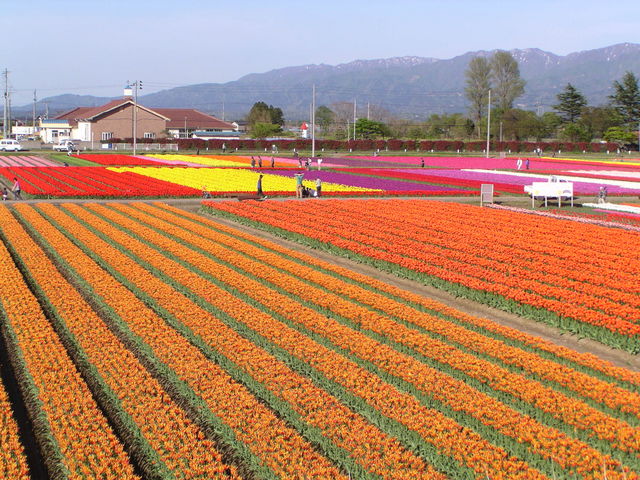 ��ԉ���@���ʂ̓��@�����