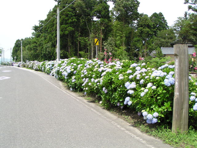 ���a�c�����������[�h�i6����{�`6���j���{_��ԉ���@���ʂ̓��@�����