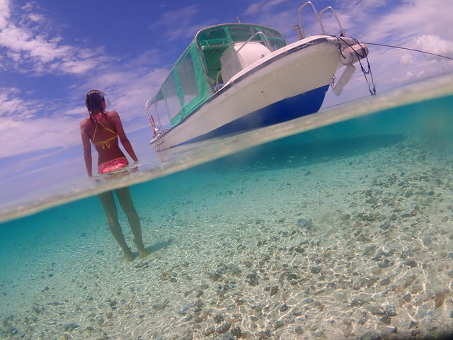 ���S�Ґ��_�C�r���O�X�N�[�����܂�