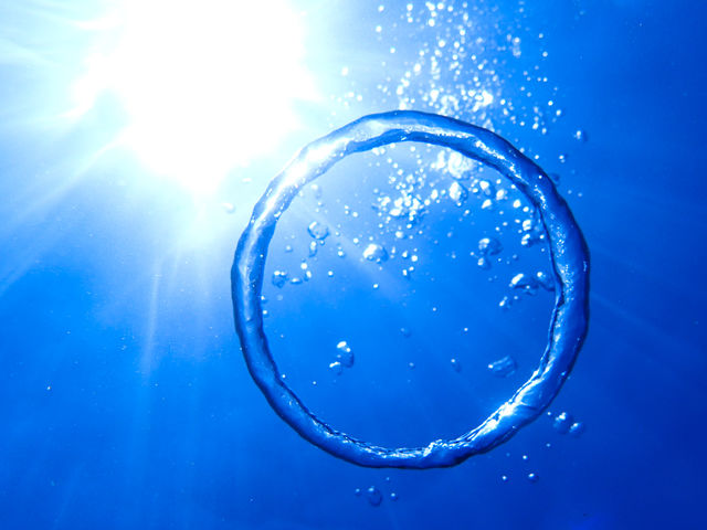 �o�u�������O_���S�Ґ��_�C�r���O�X�N�[�����܂�