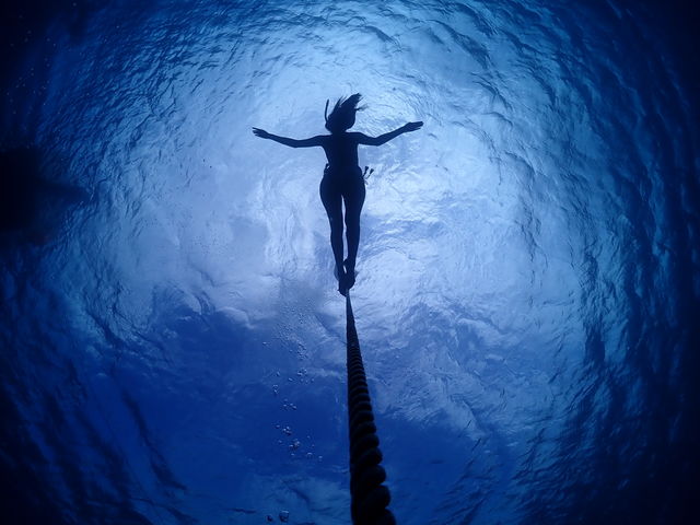 ���S�Ґ��_�C�r���O�X�N�[�����܂�