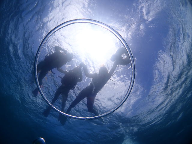 ���S�Ґ��_�C�r���O�X�N�[�����܂�