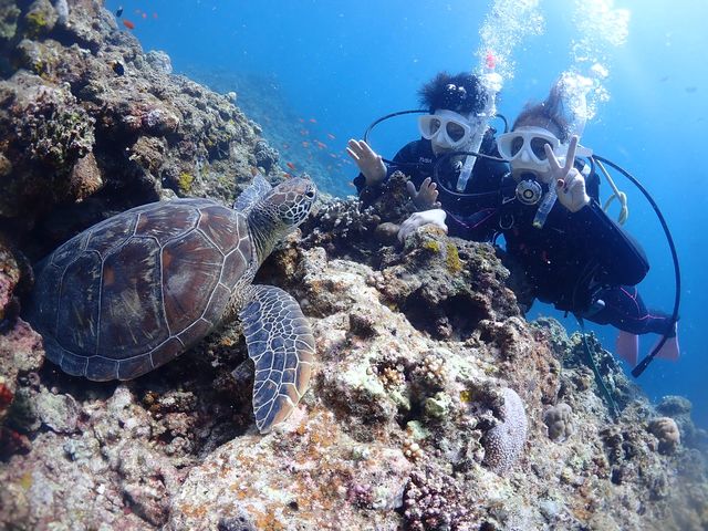 ���S�Ґ��_�C�r���O�X�N�[�����܂�