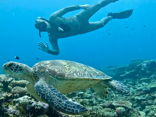 �ǂȂ��ł��y���߂�L�x�ȗV�т̃��j���[�B_�I���I���Ί_���G�R�c�A�[