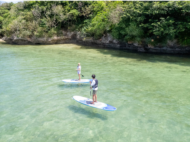 �I���I���Ί_���G�R�c�A�[