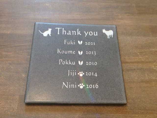 �\�D�v����_atelier SARA