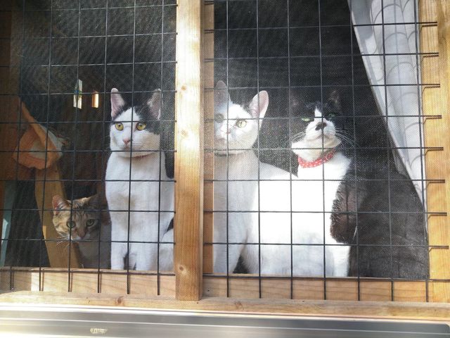 �L������܂��B���q���܂̃X�y�[�X�ɂ͏o�Ă��܂��񂪎������̑����炨�}�����Ă��܂�_atelier SARA