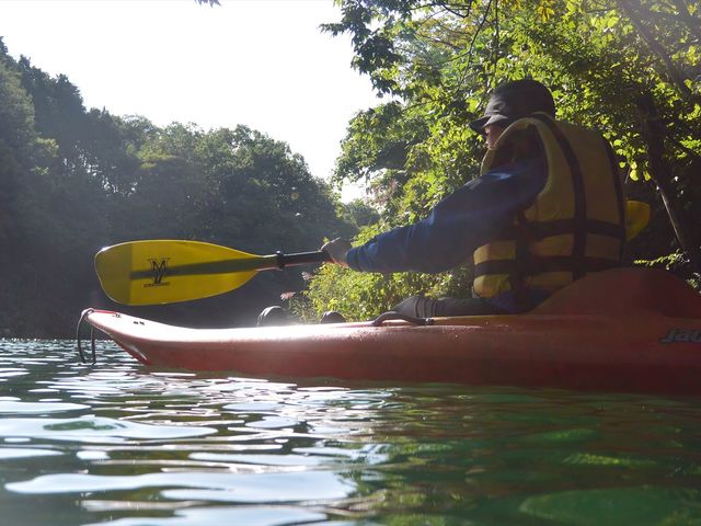 ��i�̒��ŃJ���b�N_�����_�[�p���_�C�X����