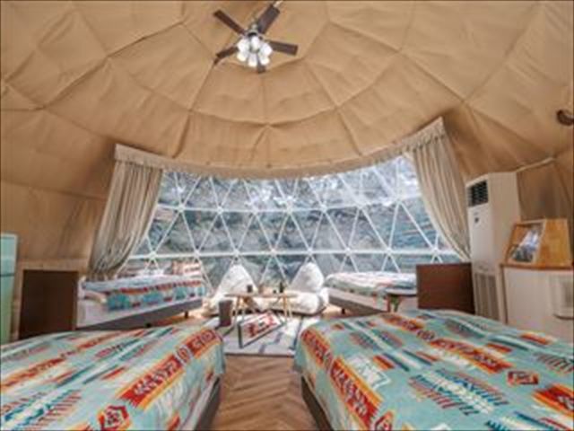 �h�[���e���g�̒��̓R�`��_�����_�[�p���_�C�X����