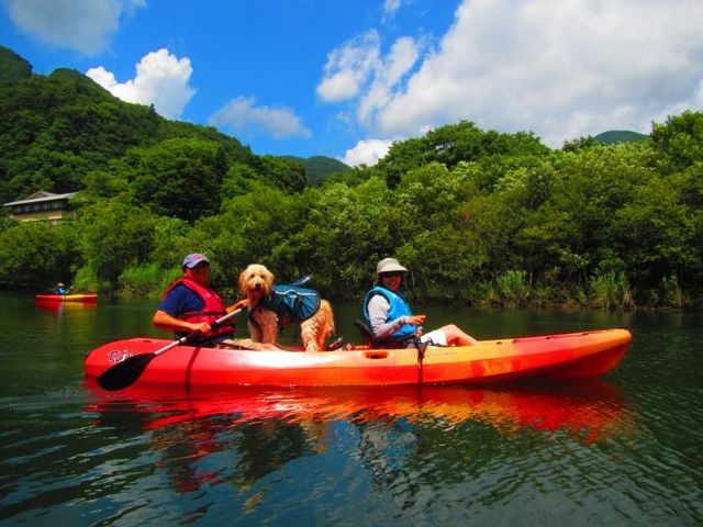 ��^���͂�����̃^���f���J���b�N�̃V�b�g�I���Ƃ����^�C�v������܂�_�l�C�`���[�v���l�b�g